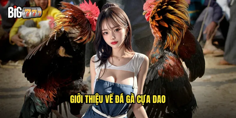 Giới thiệu về đá gà cựa dao