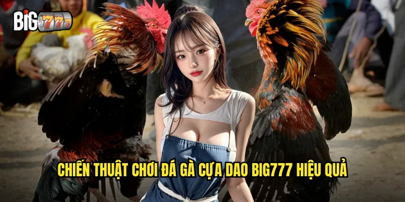 Chiến thuật chơi đá gà cựa dao Big777 hiệu quả