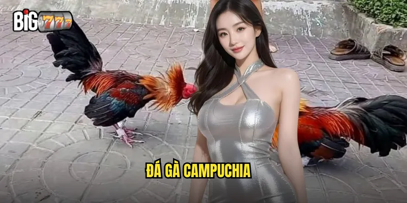 đá gà campuchia