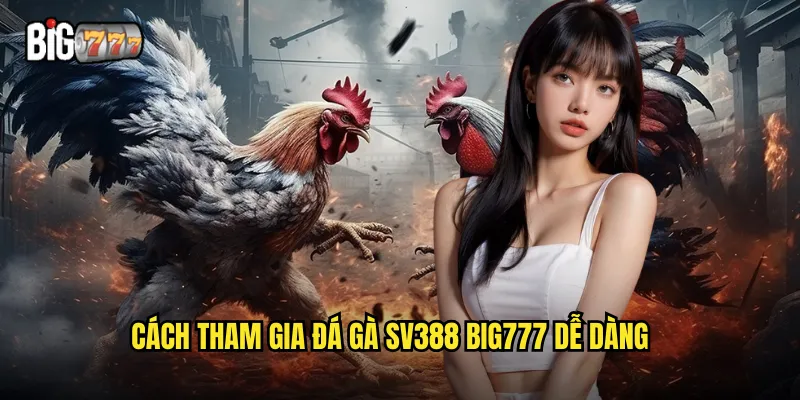 Cách tham gia đá gà SV388 Big777 dễ dàng