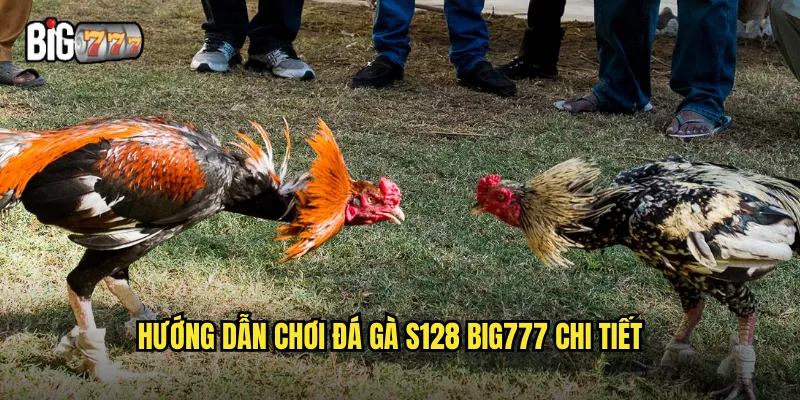 Đá Gà S128 Big777 - Nền Tảng Cá Cược Đẳng Cấp 3 Hướng dẫn chơi đá gà S128 Big777 chi tiết