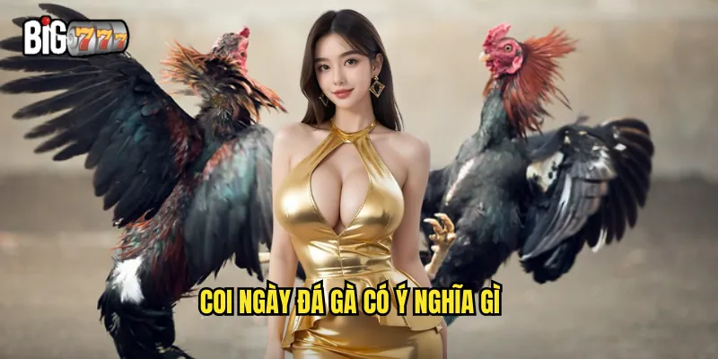 Coi Ngày Đá Gà Big777 - Chọn Ngày Tốt Tăng Tỷ Lệ Thắng 2 Coi ngày đá gà có ý nghĩa gì