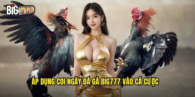 Coi Ngày Đá Gà Big777 - Chọn Ngày Tốt Tăng Tỷ Lệ Thắng 3 Áp dụng coi ngày đá gà Big777 vào cá cược